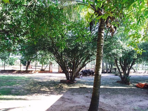 Imagen de los exteriores del Hotel Pousada Das Paineiras. Foto 14