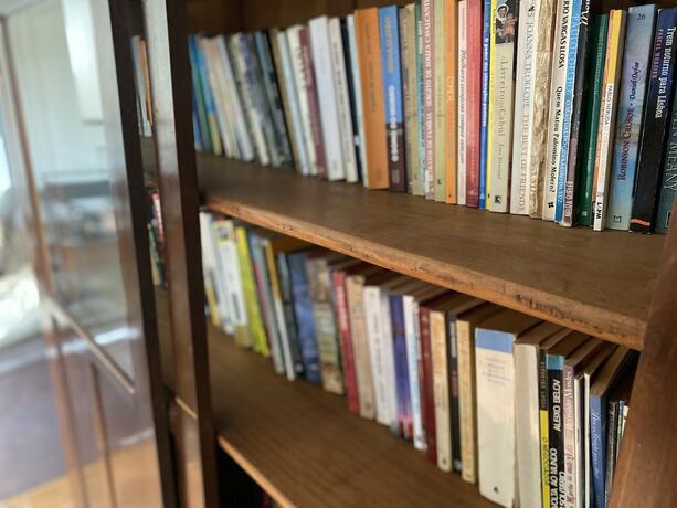 Imagen general del Hotel Pousada Dona Emilia. Foto 8