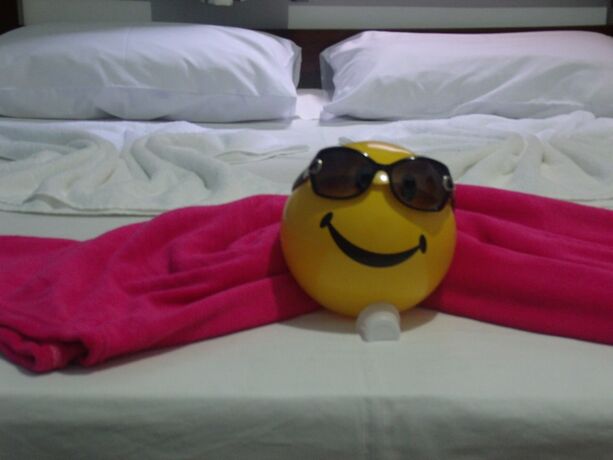 Imagen general del Hotel Pousada Edson. Foto 5