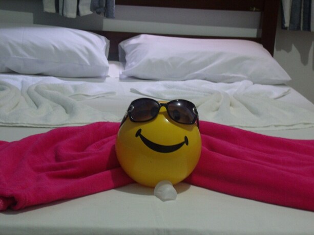 Imagen de la habitación del Hotel Pousada Edson. Foto 14