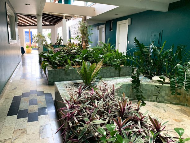 Imagen de los interiores del Hotel Pousada Elxadai. Foto 16