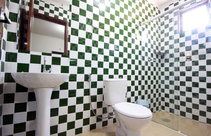 Imagen de la habitación del Hotel Pousada Esmeralda Olimpia. Foto 13