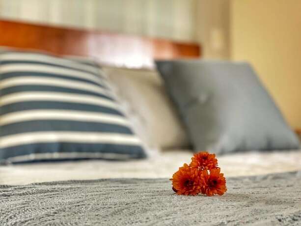 Imagen general del Hotel Pousada Flor De Canela. Foto 4