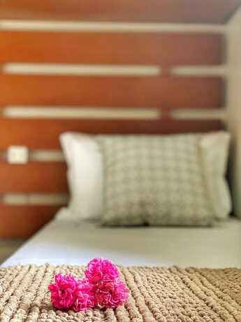 Imagen de la habitación del Hotel Pousada Flor De Canela. Foto 17