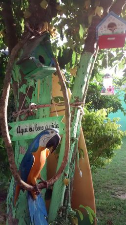 Imagen de la habitación del Hotel Pousada Flora Búzios. Foto 7