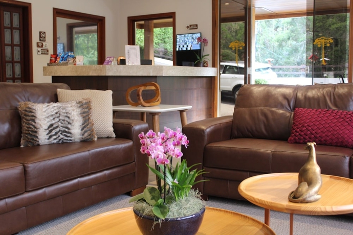 Imagen de los interiores del Hotel Pousada Grandchamp. Foto 16