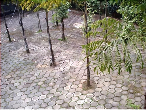 Imagen de los exteriores del Hotel Pousada Pantanal. Foto 15