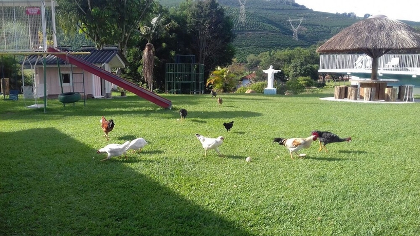 Imagen de los exteriores del Hotel Pousada Primavera Da Serra. Foto 8