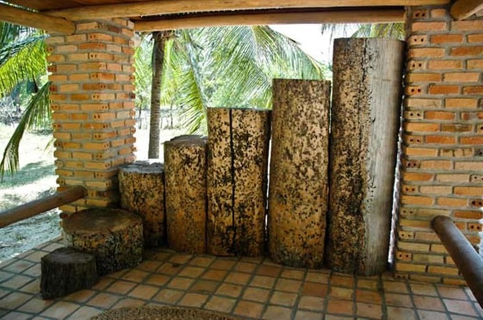 Imagen general del Hotel Pousada Rancho do Buna. Foto 13