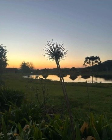 Imagen general del Hotel Pousada Refugio Do Lago. Foto 8