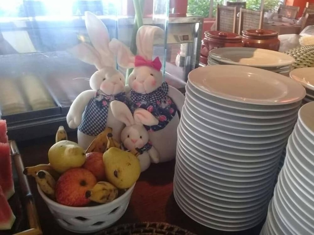 Imagen del bar/restaurante del Hotel Pousada Rio do Peixe. Foto 5