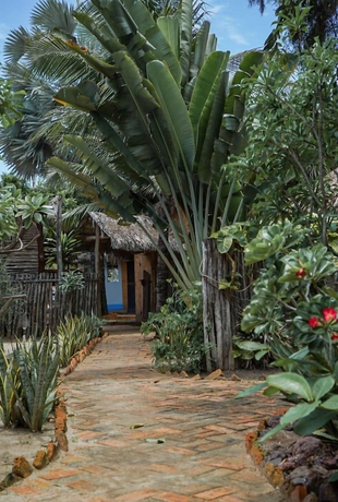 Imagen de los interiores del Hotel Pousada Rota dos Ventos. Foto 16