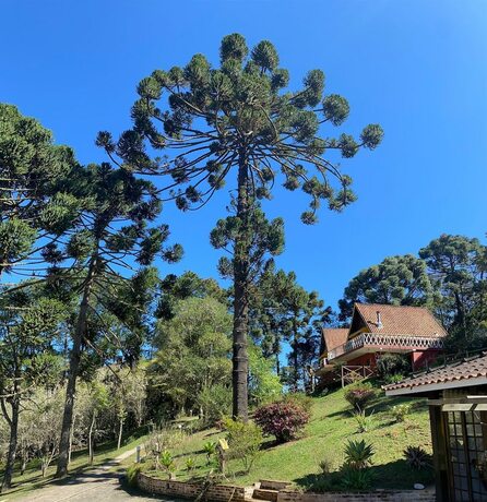 Imagen general del Hotel Pousada Sotaque Mineiro. Foto 3