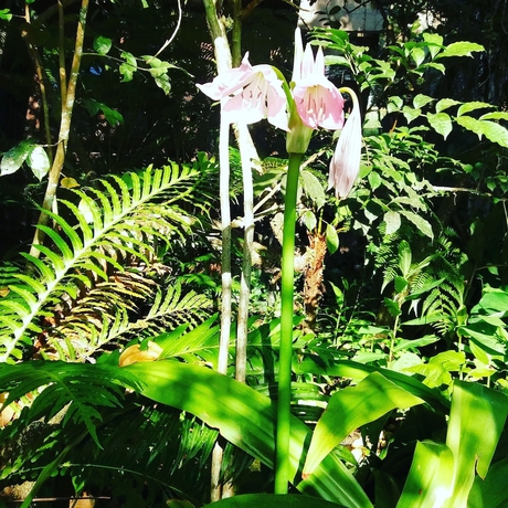Imagen de la habitación del Hotel Pousada Stolz Chal&eacute;s. Foto 10