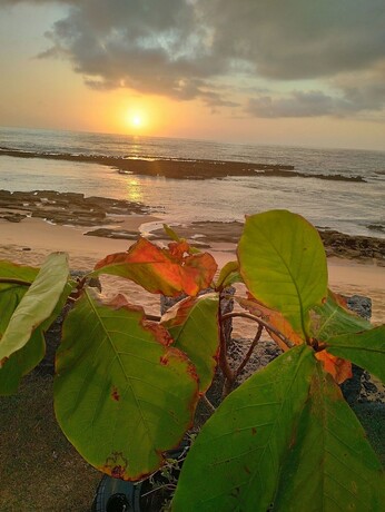 Imagen de la habitación del Hotel Pousada Tropic&aacute;lia Tranquilid. Beira Mar. Foto 13