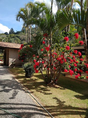 Imagen de los interiores del Hotel Pousada Vale da Serra. Foto 12