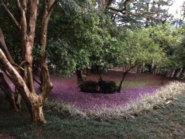 Imagen general del Hotel Pousada Villa Dei Fiori. Foto 3