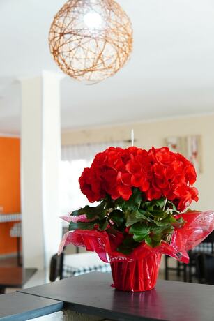 Imagen general del Hotel Pousada Vi&ntilde;a Del Mar Itanha&eacute;m. Foto 7