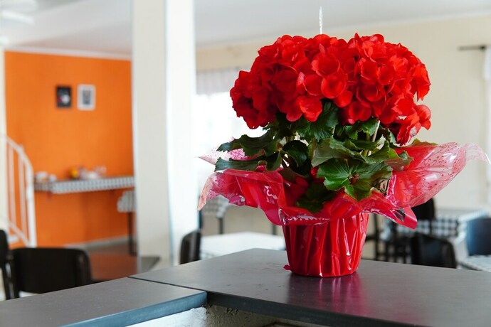 Imagen general del Hotel Pousada Vi&ntilde;a Del Mar Itanha&eacute;m. Foto 12