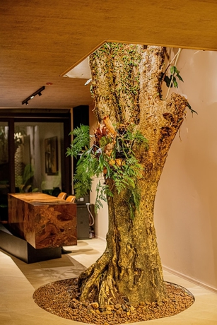 Imagen de los interiores del Hotel Pousada Yamandu. Foto 15