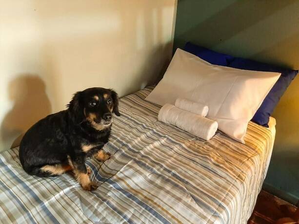 Imagen general del Hotel Pousada da Esta&ccedil;&atilde;o. Foto 10