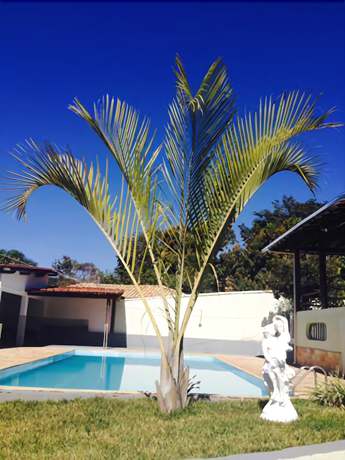 Imagen de la piscina del Hotel Pousada da Lapa. Foto 17