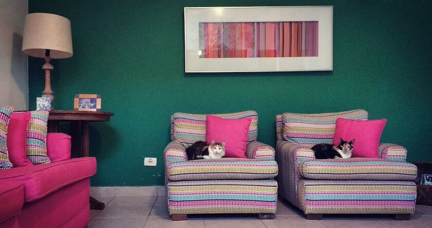 Imagen general del Hotel Pousada do Rosa, Sao Sebastiao. Foto 9
