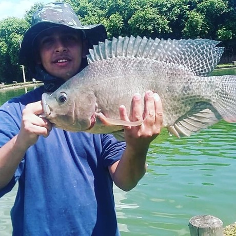 Imagen general del Hotel Pousada e Pesca Esportiva Fazolin. Foto 2