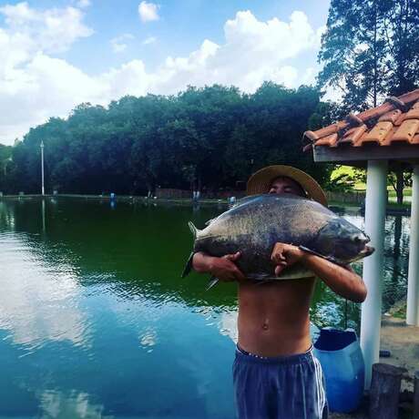 Imagen general del Hotel Pousada e Pesca Esportiva Fazolin. Foto 13