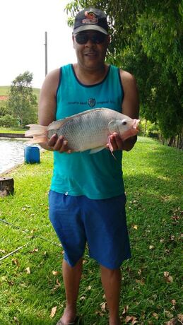 Imagen general del Hotel Pousada e Pesca Esportiva Fazolin. Foto 17