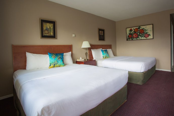 Imagen de la habitación del Hotel Powder Mountain Lodge. Foto 6