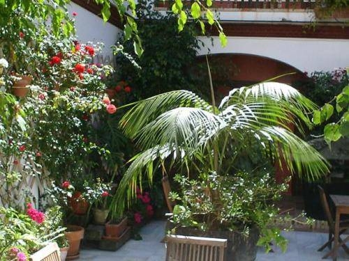 Imagen general del Hotel Pozo Rey. Foto 3