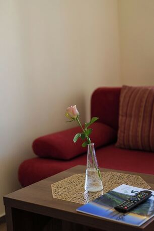 Imagen general del Hotel Pr&aacute;cheň. Foto 4