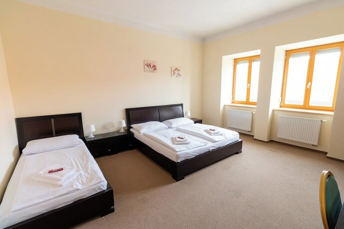 Imagen de la habitación del Hotel Pr&aacute;cheň. Foto 20
