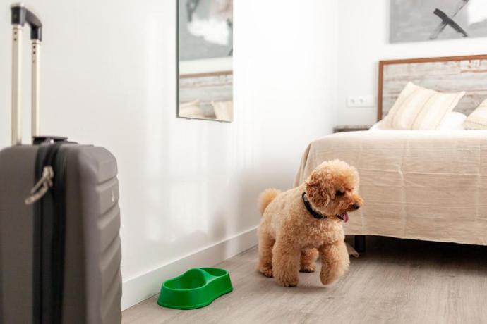 Imagen de la habitación del Hotel Prada, Gijón. Foto 2