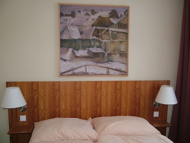Imagen de la habitación del Hotel Praha. Foto 14