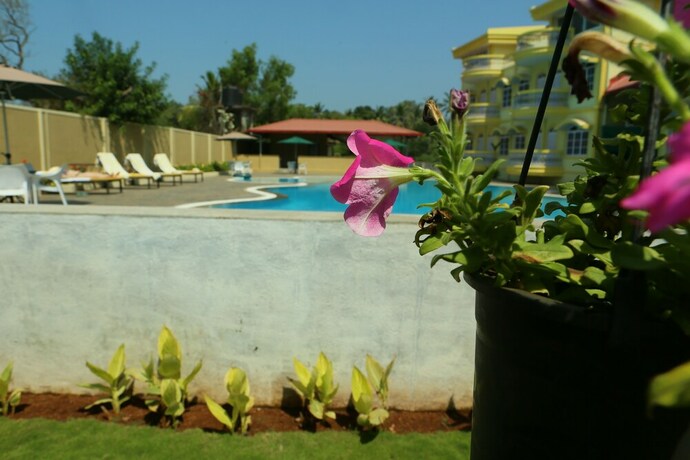 Imagen de la piscina del Hotel Praia Da Oura - Boutique Resort. Foto 32