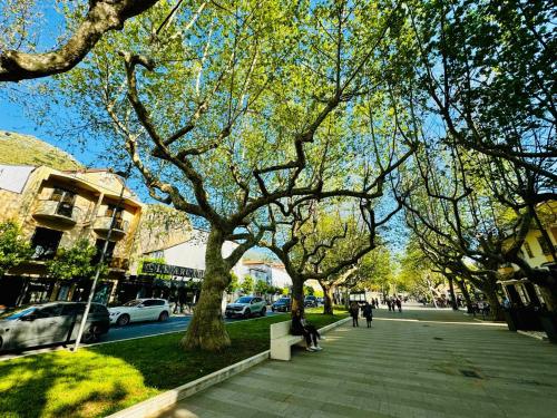 Imagen general del Hotel Praja Mare. Foto 3
