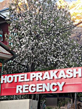 Imagen general del Hotel Prakash Regency Sangla. Foto 5