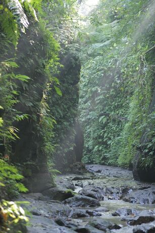 Imagen de la habitación del Hotel Pramana Giri Kusuma. Foto 15