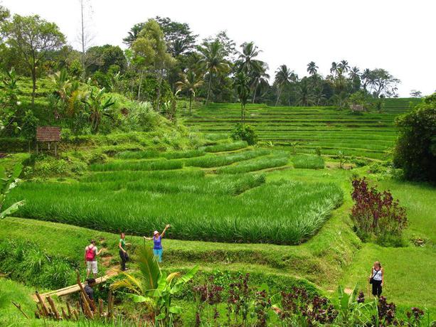 Imagen general del Hotel Prana Dewi Mountain Resort. Foto 19