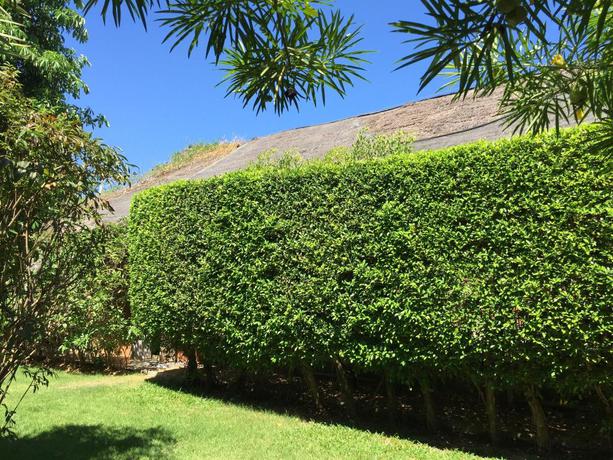 Imagen general del Hotel Pranberry Bed and Breakfast. Foto 2