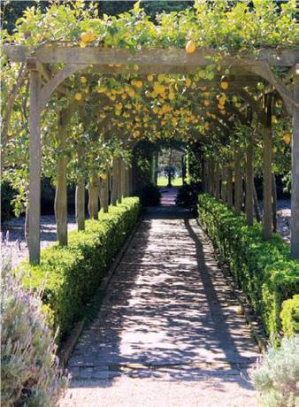 Imagen de los exteriores del Hotel Precise Tale Poggio Alla Sala. Foto 8