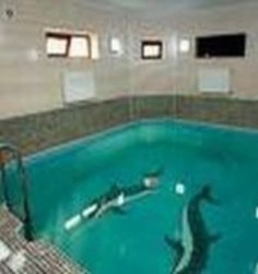 Imagen general del Hotel Premier, Baku. Foto 2