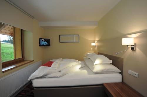 Imagen de la habitación del Hotel Premier, Janov nad Nisou . Foto 13