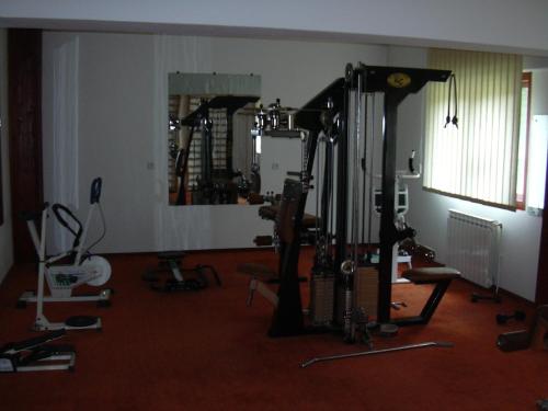Imagen general del Hotel Premier, Predeal. Foto 6