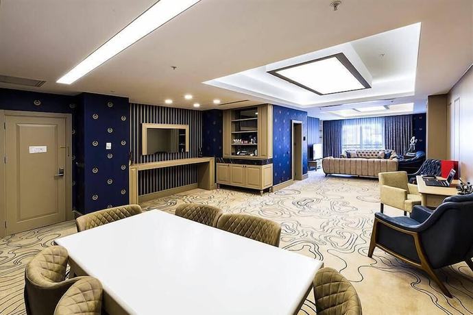 Imagen de la habitación del Hotel Premier Sakarya. Foto 8