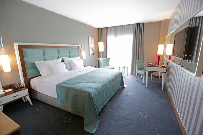 Imagen de la habitación del Hotel Premier Sakarya. Foto 9
