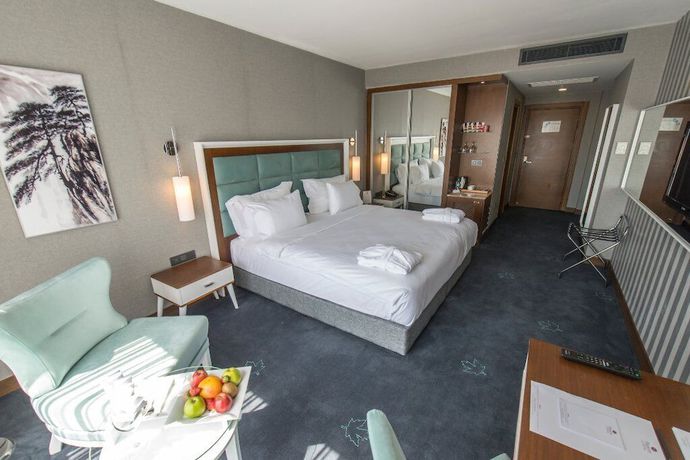 Imagen de la habitación del Hotel Premier Sakarya. Foto 10