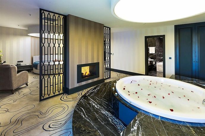 Imagen de la habitación del Hotel Premier Sakarya. Foto 12